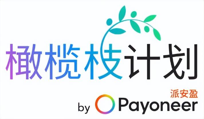 CQ9电子在线登录 黑五攻略4大平台市场洞察及备货指南来袭Payoneer派安盈助您冲上销售高峰！(图11)